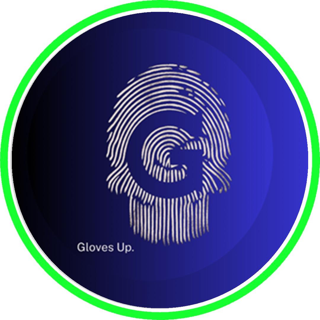 glovesup.distribuidora